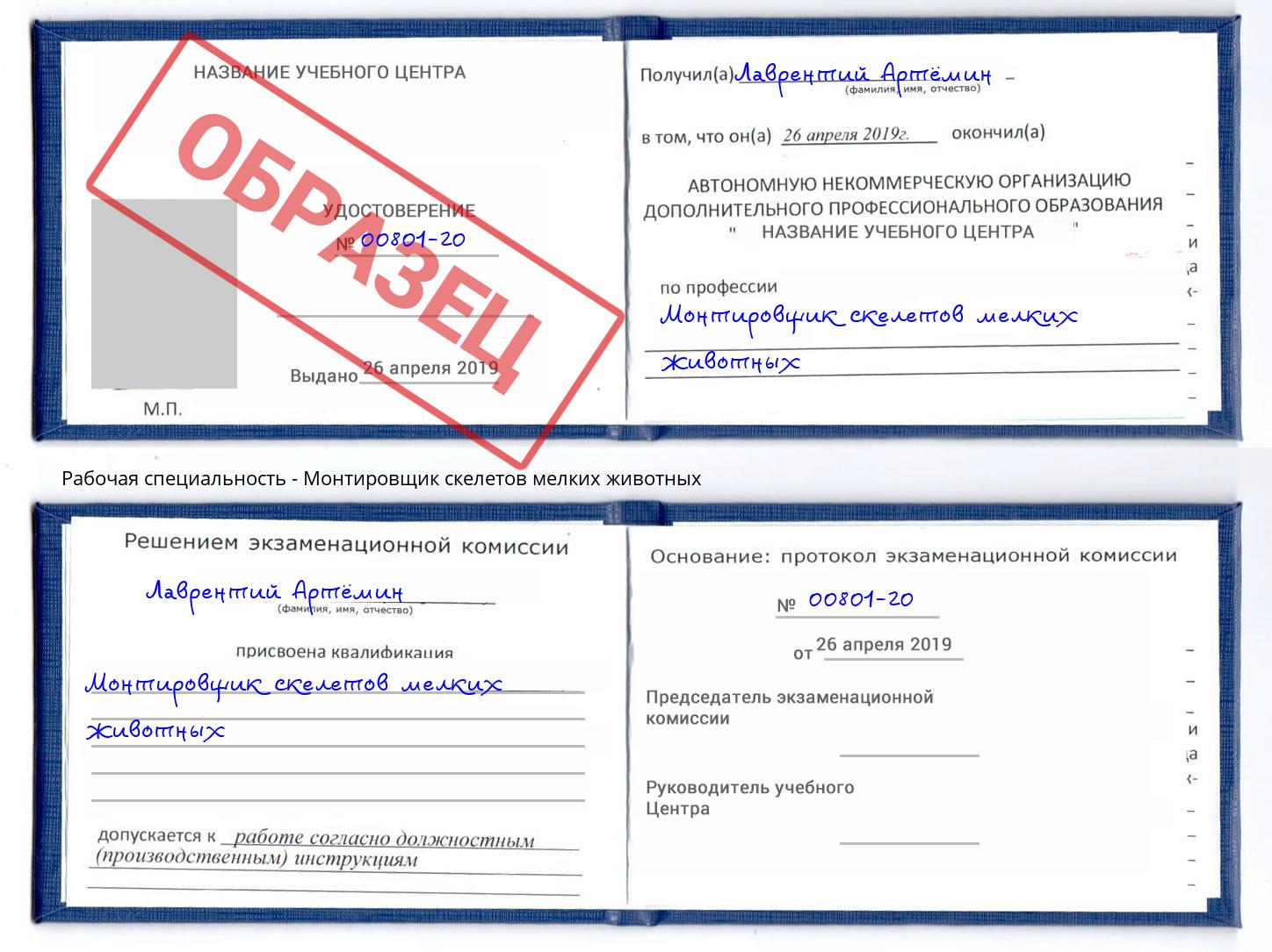 Монтировщик скелетов мелких животных Богородицк