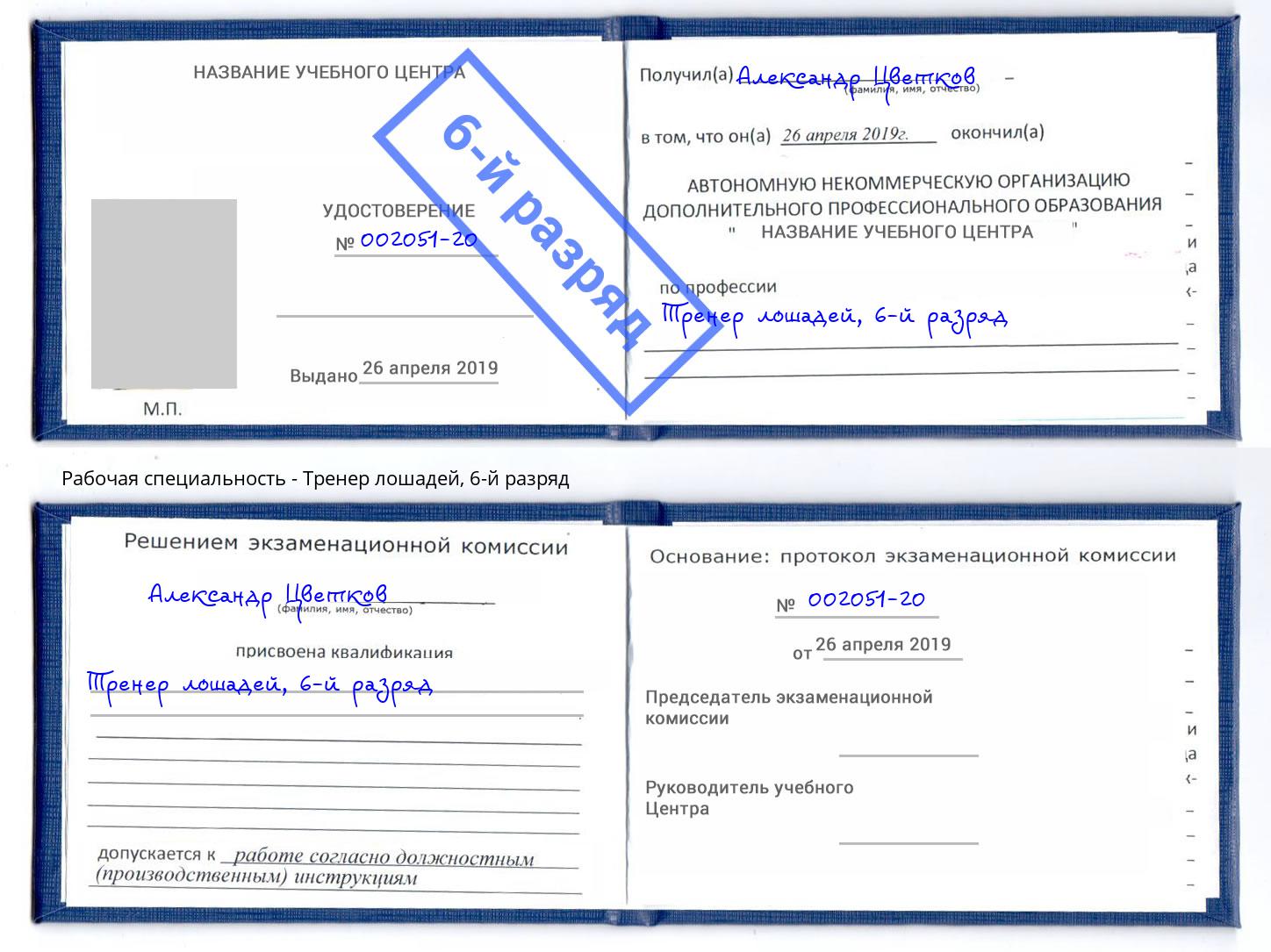 корочка 6-й разряд Тренер лошадей Богородицк