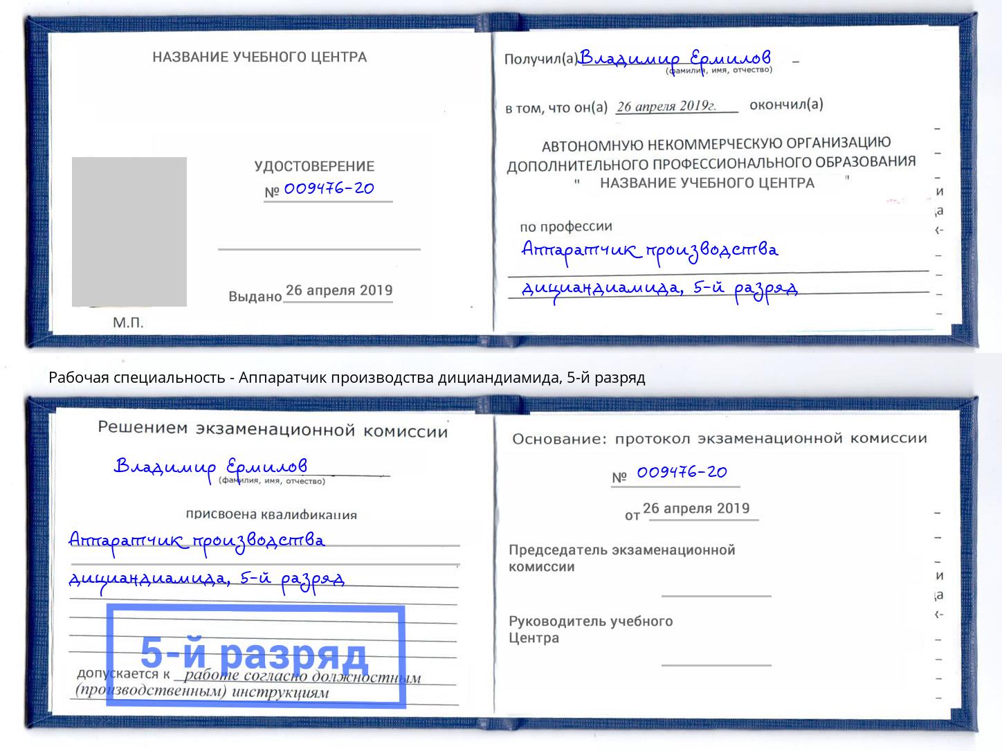 корочка 5-й разряд Аппаратчик производства дициандиамида Богородицк