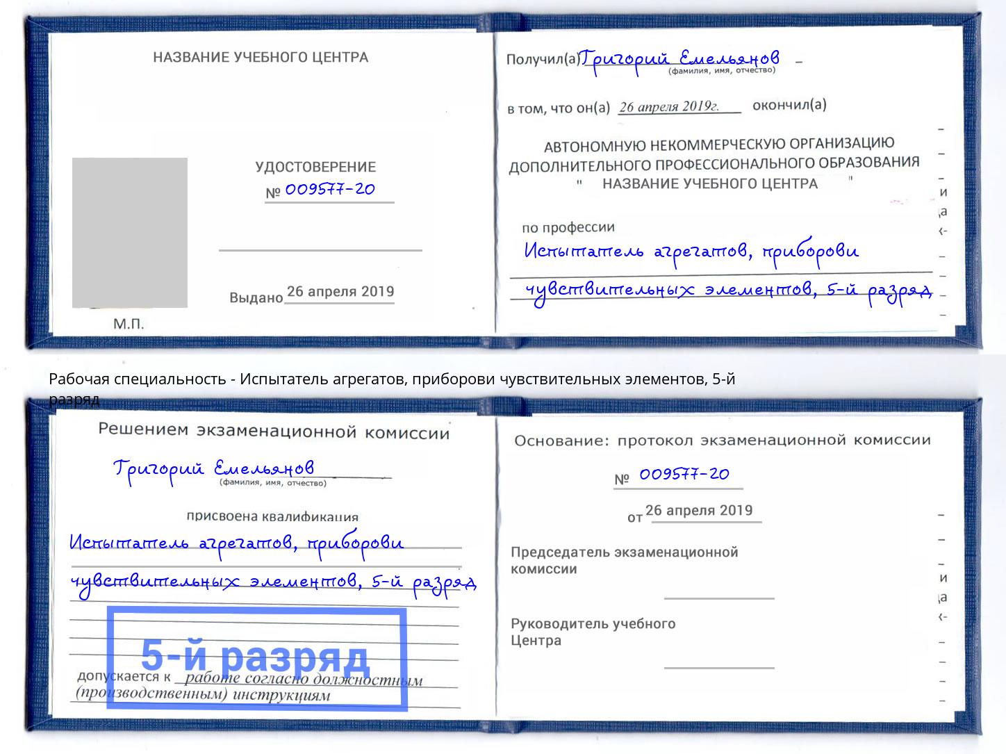 корочка 5-й разряд Испытатель агрегатов, приборови чувствительных элементов Богородицк