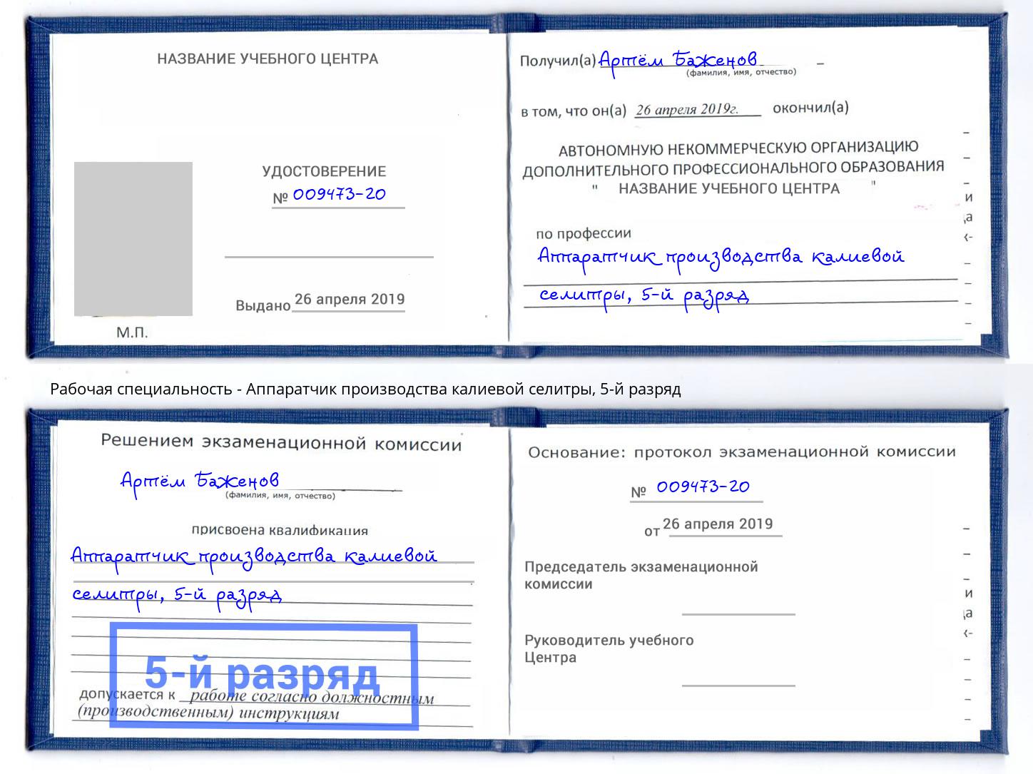 корочка 5-й разряд Аппаратчик производства калиевой селитры Богородицк