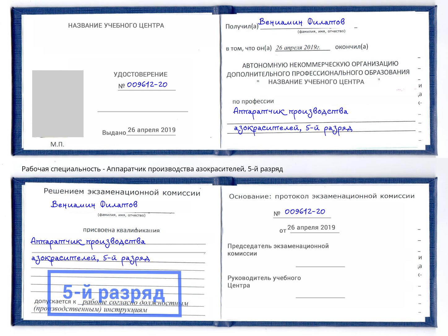 корочка 5-й разряд Аппаратчик производства азокрасителей Богородицк