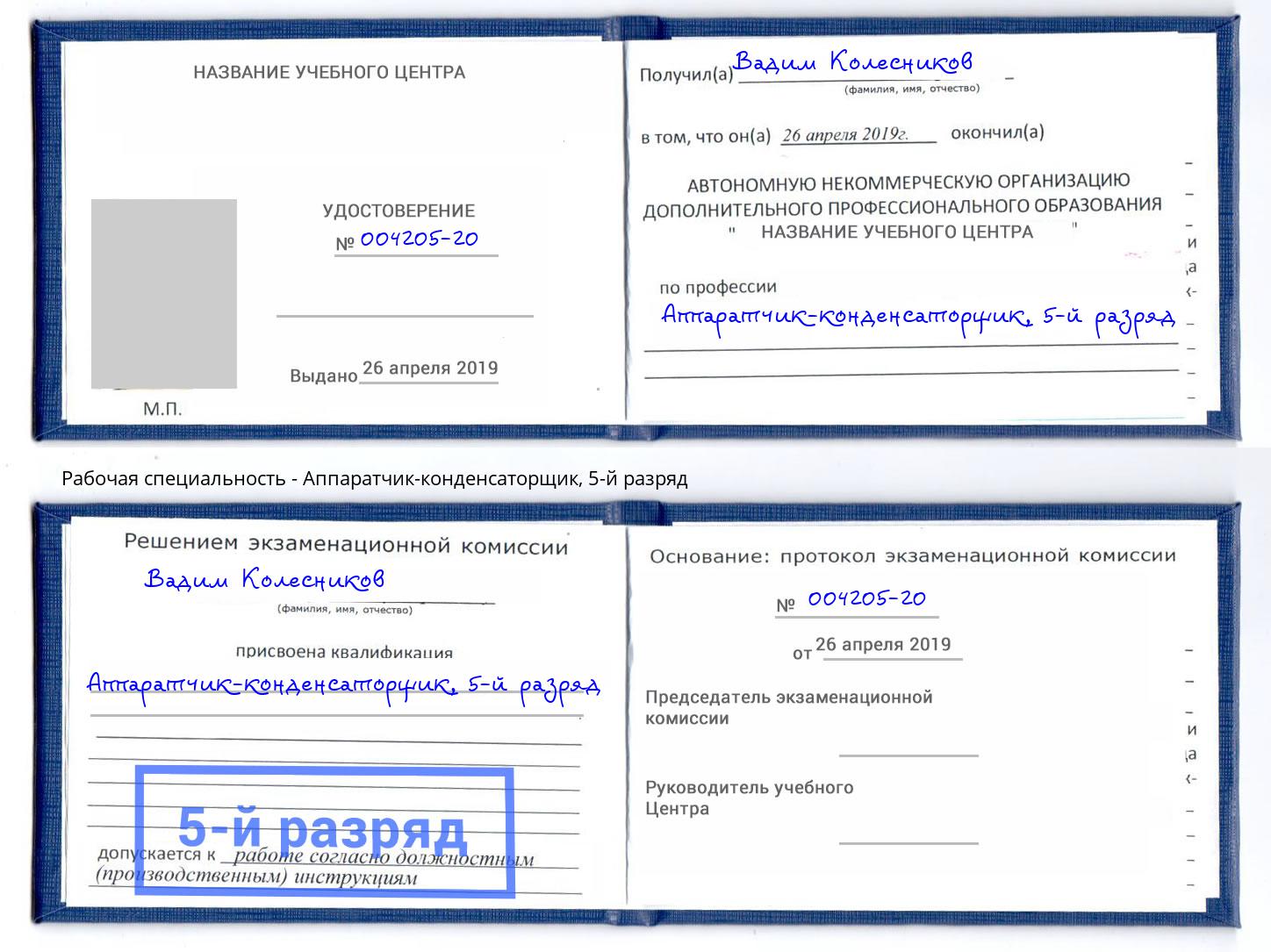 корочка 5-й разряд Аппаратчик-конденсаторщик Богородицк