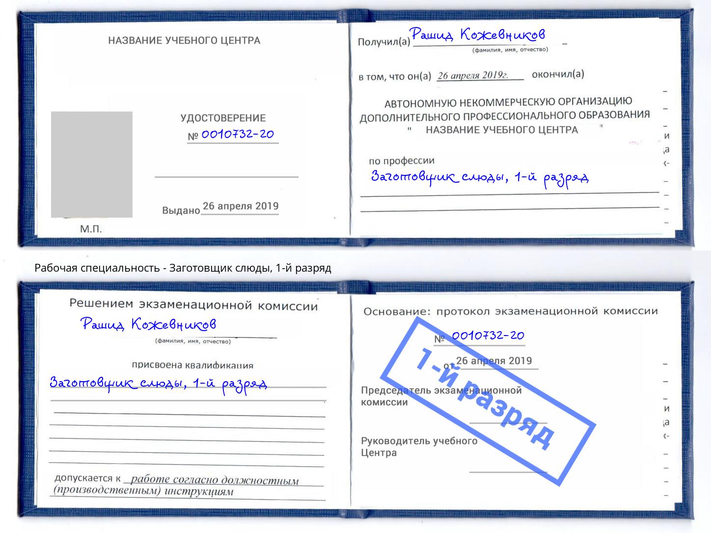 корочка 1-й разряд Заготовщик слюды Богородицк