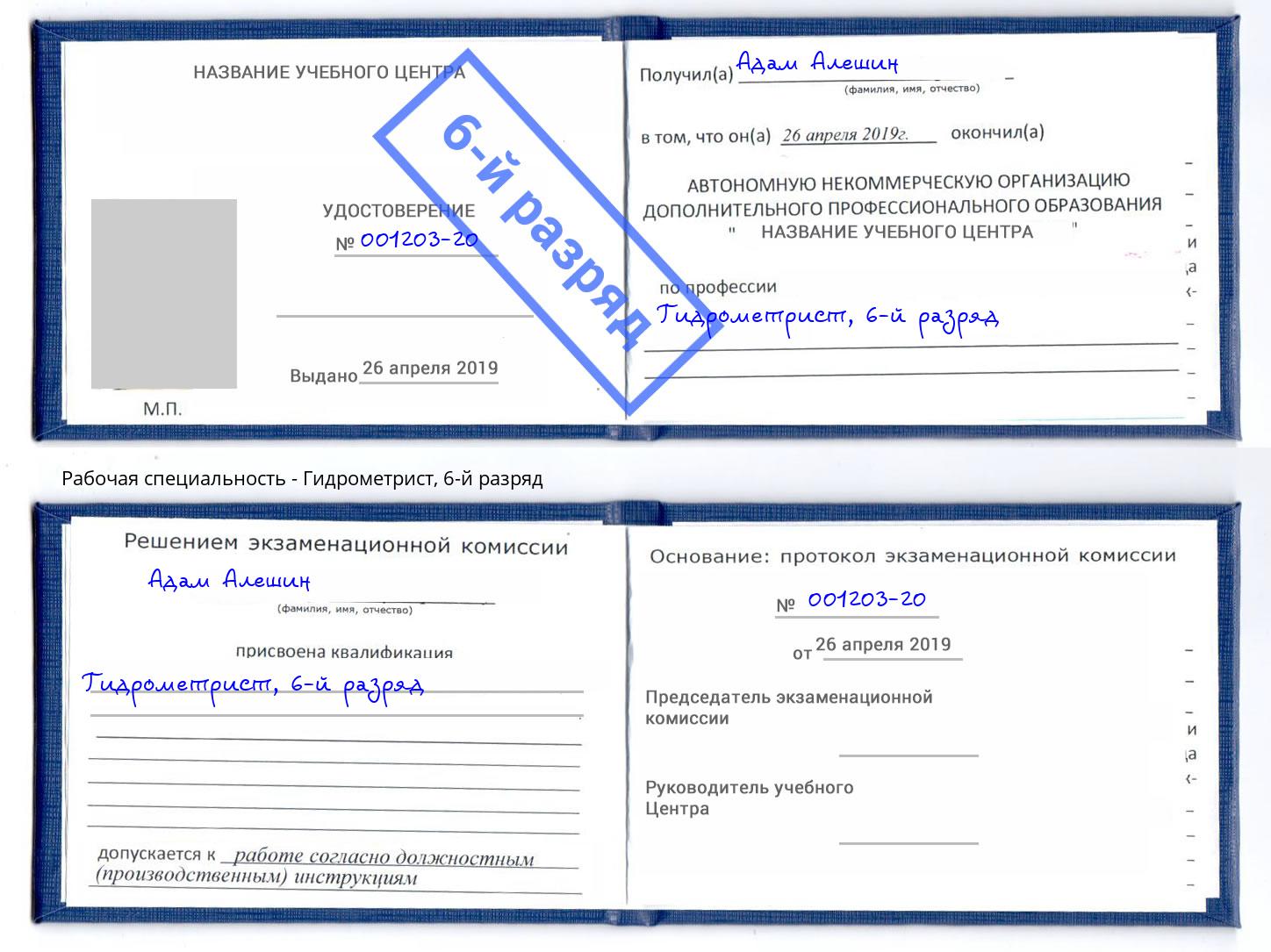 корочка 6-й разряд Гидрометрист Богородицк