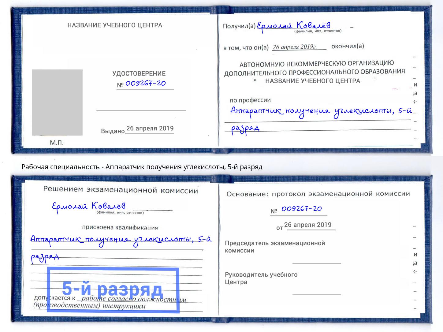 корочка 5-й разряд Аппаратчик получения углекислоты Богородицк