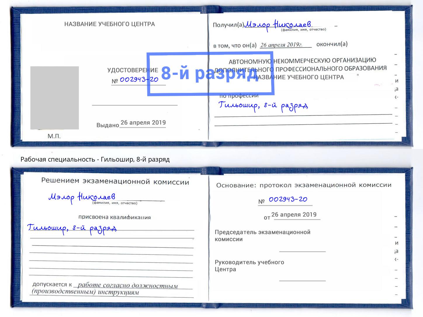 корочка 8-й разряд Гильошир Богородицк